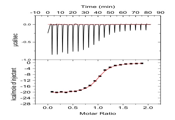 ITC8