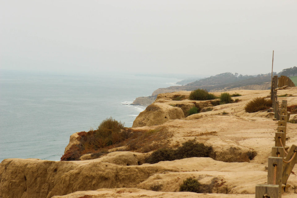 dunes