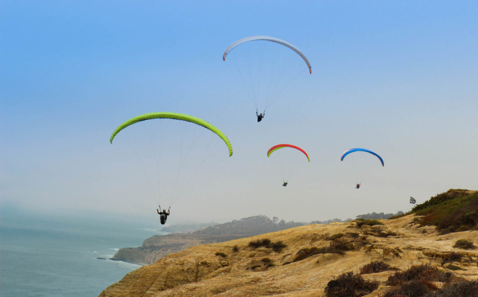 gliders